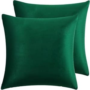RainRoad Dark Green Throw Pillows Covers Set of 2 Soft Velvet Decorative Pillow Covers 20x20 Inch for Couch Bed (Dark Green, 20" x 20"(Pack of 2))