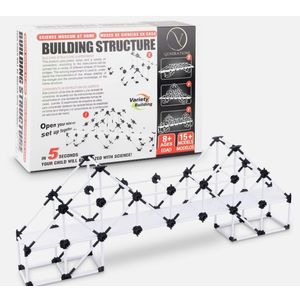 V Generations Bridges & Buildings STEM Kit  250Pcs Learning STEM Kit  Structural Engineering Toys for Kids Ages 812  Build 15 Models  Educational Construction Toys