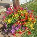 Lamsze Faux Flower Daisy with Eucalyptus Leaves Fake Plants Greenery Boxwood Outdoor Indoor Garden Home Decoration Porch Patio (Mix)