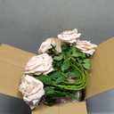 50Pcs Nude Roses Artificial Flowers Artificial Silk Roses Bulk,Fake Roses Flower with Stems Realistic Flowers for Wedding Centerpiece Home Party Decor