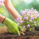 ANDANDA Work Gloves Strong Grip Fluorescein Cut Resistant single dipped Work Gloves (Small)