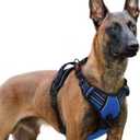 rabbitgoo Dog Harness for Large, No Pull Pet Harness with 3 Buckles, Adjustable Soft Padded Vest with Control Handle, Walking Reflective Pet Vest for Dogs, Blue, XL