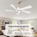 TXCSLY 52" Ceiling Fans with Lights and Remote, Modern Ceiling Fan with Light, Indoor Outdoor Ceiling Fan for Living Room, Bedroom, 5 Blade 3 Color Temperature LED Dimmable (White & Gold)