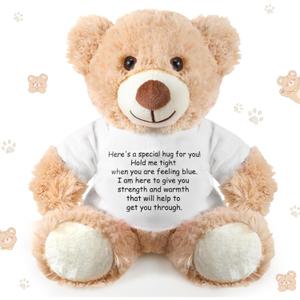 Lenwen a Bear Hug Gift Get Well Soon Sympathy for Women Plush Stuffed Animal Hug Thinking of You Condolences Memorial Loved Present(Khaki,Bear)