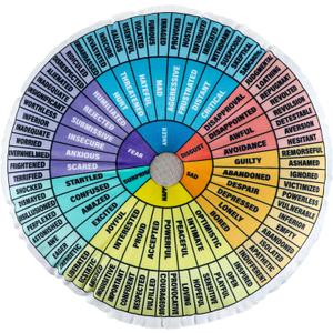 party greeting Wheel of Emotions Feelings Pillow Round Velvet Feelings Wheel Emotion Throw Pillow Circle Seating Floor Cushion for Office Home Room Sofa Decor Counselor Physical Therapist Gifts, Medium