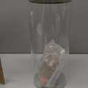 glass for lemonade ,14 inch tall