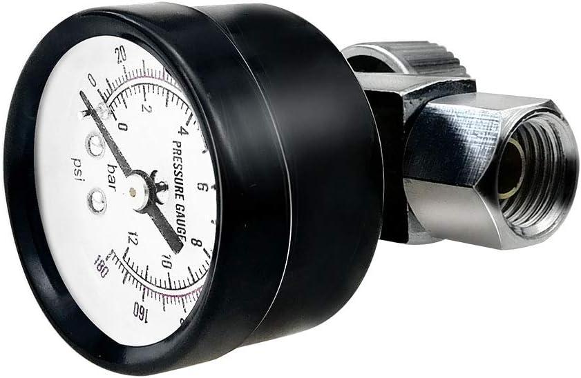Beduan Flow Control Valve, 1/4" NPS Water Pressure Reducer Adjustable Control Valve with Gauge