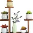 Wood Desktop Plant Stand Indoor Small Windowsill Flower Shelf Tabletop Plant Shelf Holder Display Rack for Succulent Herb in Living Room Office