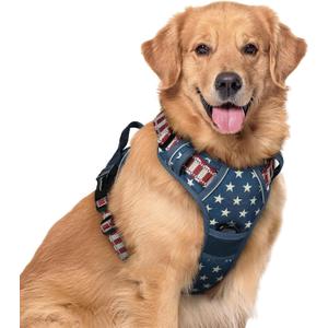 rabbitgoo Dog Harness No Pull with 2 Leash Clips, Adjustable Soft Padded, Reflective Oxford No Choke Pet Vest with Easy Control Handle for Large Dogs, Blue Star, XL