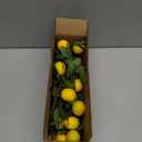 Woration 19.3inch Simulation Artificial Lemon Branches Fake Fruit Yellow Decoration for Home DIY Flower Arrangement Photography Props 5PCS