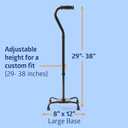 Medline Aluminum Quad Cane with Large Base for Balance, Knee Injuries, Leg Surgery Recovery & Mobility, Portable, Lightweight Walking Aid for Seniors & Adults