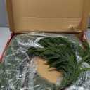 Artgar 26 Inch Pine Wreath - Christmas Wreaths for Front Door - Real Touch Pine Wreath - Large Artificial Green Wreaths for Walls Windows Porches Farmhouse Indoor Outdoor Home Decor (Style-1)