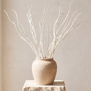 Thiccywoov 24 Pcs Natural Dried White Willow Branches Decorative Twigs for Vase Rustic Farmhouse Home Decor Table Centerpiece Wedding Decoration(21-23inches,Twisted)