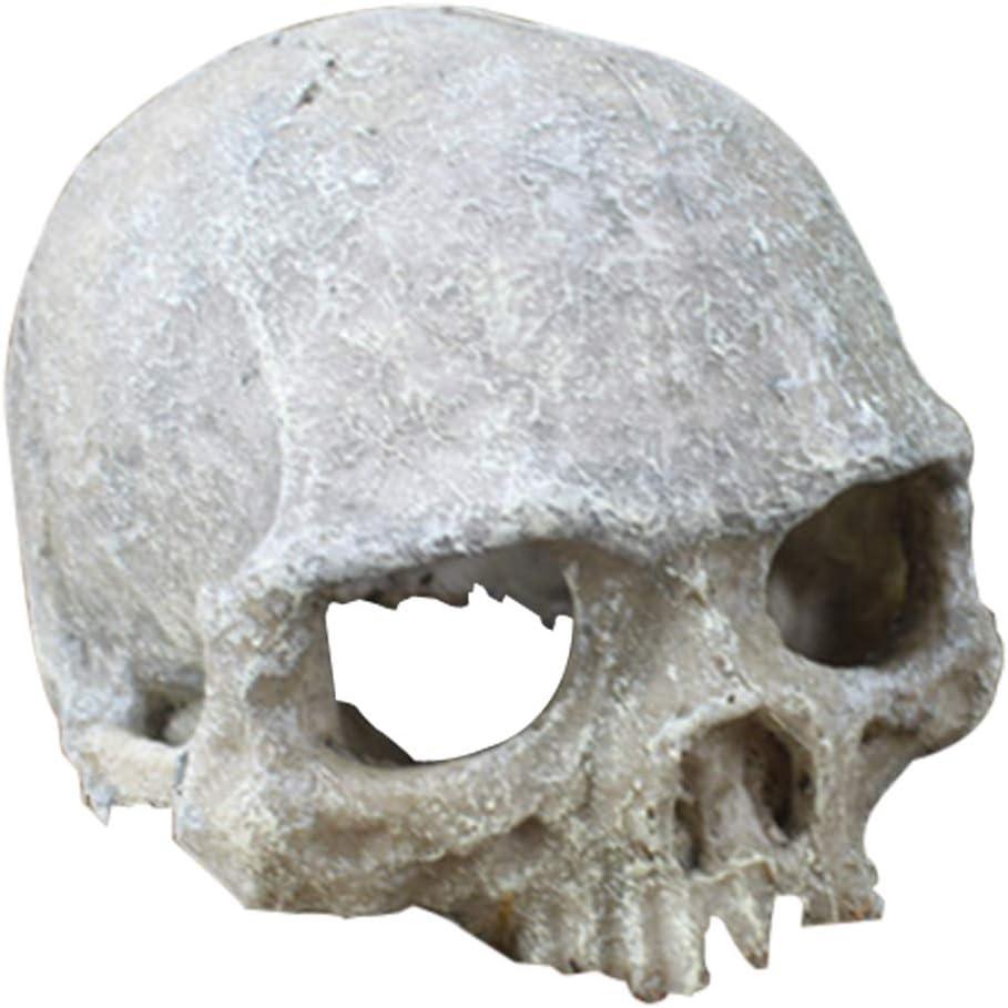 Hewnda Aquarium Decor Resin Artificial Head Skeleton Decoration - Aquarium Otaru Aquarium Decorative Cave Landscape Pet Reptile House