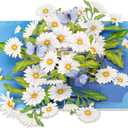 POPWOW Daisy Pop Up Cards, White Daisy, Butterfly, 3D Greeting Cards, Gifts for Birthday, Mothers Day, Valentines Day, Mom, Wife, Girlfriend, Sister, 5x7 - Includes Envelope And Message Note