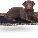 K&H Pet Products Outdoor Elevated Dog Cot, Breathable Cooling Elevated Cot Hammock Pet Bed for Large Dogs, Washable Mesh Cover, Raised Metal Frame, Collapsible, Portable - Large 42 X 30in Camo