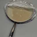 SENSARTE Nonstick Frying Pan Skillet with Lid, Omelet Pan with Cover, Healthy Cooking Chef's Pan, Kitchen Cooking Pan, Free of Intentionally Added PFOA/PFOS (12.5inch + Glass Lid) (Gray Granite)