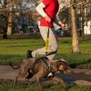 3 x Space Needed Leash Sleeve, Funny Yellow Dog Leash Wrap Alert Hanging ID Patch Tag, Do Not Pet Velcro Patch, Pet Birthday Gifts for Dog Lovers Owners