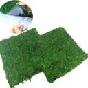 FAICOIA 2 Pcs Moss Mat Moss Table Runner Dried Moss for Crafts Green Moss Adhesive Preserved Sheet Moss for Potted Plants Fairy Gardens Wedding Woodland 16" x 16" Preserved Moss Mat for Table Decor