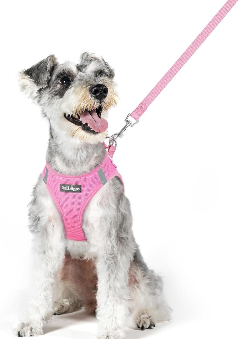 rabbitgoo Dog Harness and Leash Set, Step in Soft Light Puppy Vest, Breathable Mesh Pet Harness, Reflective for Safe Easy Walking, Light Pink XL