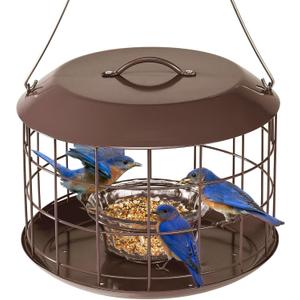 Kingsyard Bluebird Feeders for Outdoors Hanging, All Metal, Cage Bird Feeder with Tray, Squirrel Proof & Weatherproof, Easy to Refill & Clean (Brown)
