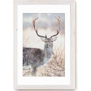 20x30 Picture Frames, 20"x30" Poster Frame for Wall, 20 x 30 Rustic Wood Frame with Real Tempered Glass, Display Poster 16x24 with Mat or 20 x 30 Without Mat, White, 1 Pack