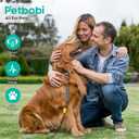 Petbobi Dog Tie-Out Cable and Stake - 40ft Heavy Duty Cable with Spring, No Tangle, 16in Ground Stake, Ideal for Yard, Camping and Beach, Suitable for Medium to Large Dogs Up to 120 lbs, Black