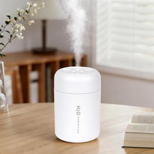 Portable Mini Humidifier, 300ml USB Cool Mist Small Humidifier with Colorful Lights, Perfect for Bedroom, Office, Plants, Travel & Car (White)