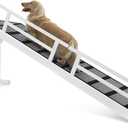 Dog Ramp for Bed or Couch, Wooden Pet Ramp with 20 Gentle Slope, Removable Side Rails, Non-Slip Surface, Top Platform & Wheels, Safe Bed Ramp for Small, Large & Senior Dogs, 74" Long, White