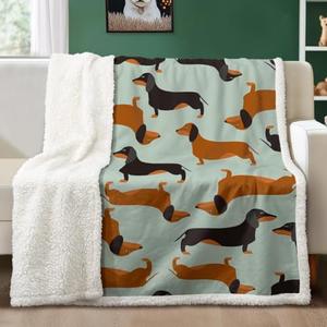 Dachshund Dog Fleece Throw Blanket, Soft Lightweight Sherpa Blanket for Couch Bed Sofa - Cozy Home Comfort Dachshund Gifts for Dog Lovers Women (Throw 50" X 60")