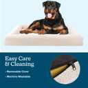 Orthopedic Dog Bed - 45in Large Dog Bed with Supportive Bolster, Nonslip Bottom, and Removable Washable Cover - Memory Foam Pet Beds for Large Dogs - Dog Products by PETMAKER (Cream)