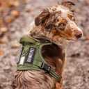 rabbitgoo Tactical Dog Harness for Large Dogs No Pull Adjustable Military Vest with Handle MOLLE Reflective Heavy Duty Dog Vest for Walking Training Hunting Outdoor Working Medium Size Dog Orange XL