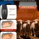 300W Dual-Mode Heat Lamp for Chickens - Long-Lasting Chicken Coop Heater & Chick Brooder Kit Companion, Safe Design with 7.87ft Cord for Poultry, Ducks, and Other Livestock