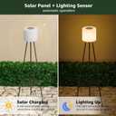 FUYO 2 Pack Solar Floor lamp Outdoor, 41.3'' Solar Powered Lights with 2 Plant Stand, Water-Resistant IP54 Outside Floor Lamps with 3 Lighting Modes for Patio Porch Yard Deck Decor