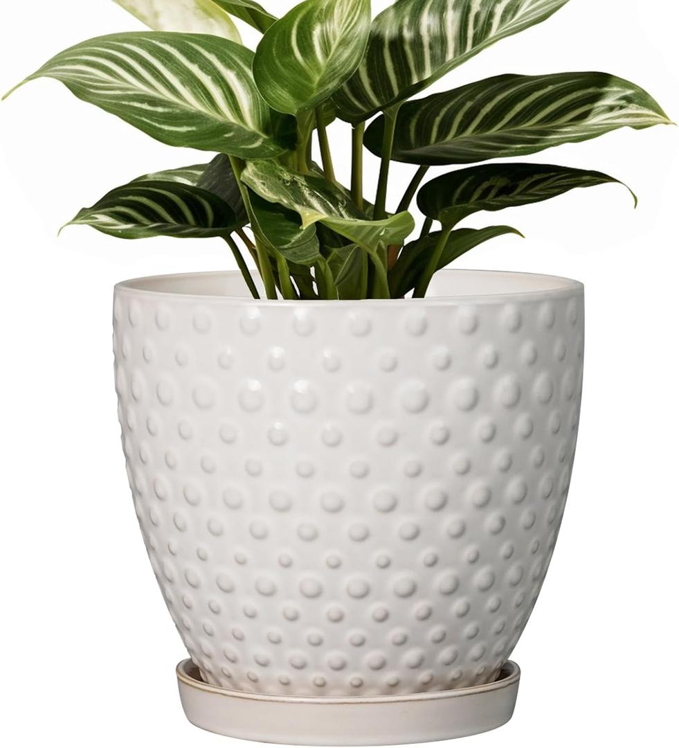 G EPGardening 7 Inch Ceramic Plant Pot with Drainage Hole and Saucer Round Planter Decorative Flower Plant Pot for Indoor Plants Outdoor White G EPGardening 7 Inch Ceramic Plant Pot with Drainage Hole and Saucer Round Planter Decorative Flower Plant Pot for Indoor Plants Outdoor White