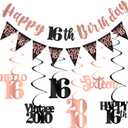 16th Birthday Decorations for Girls, Black Rose Gold Happy 16th Birthday Banner Vintage 2010 Hello 16 Decorations Kit Hanging Swirls Sixteen Year old Bday Party Supplies