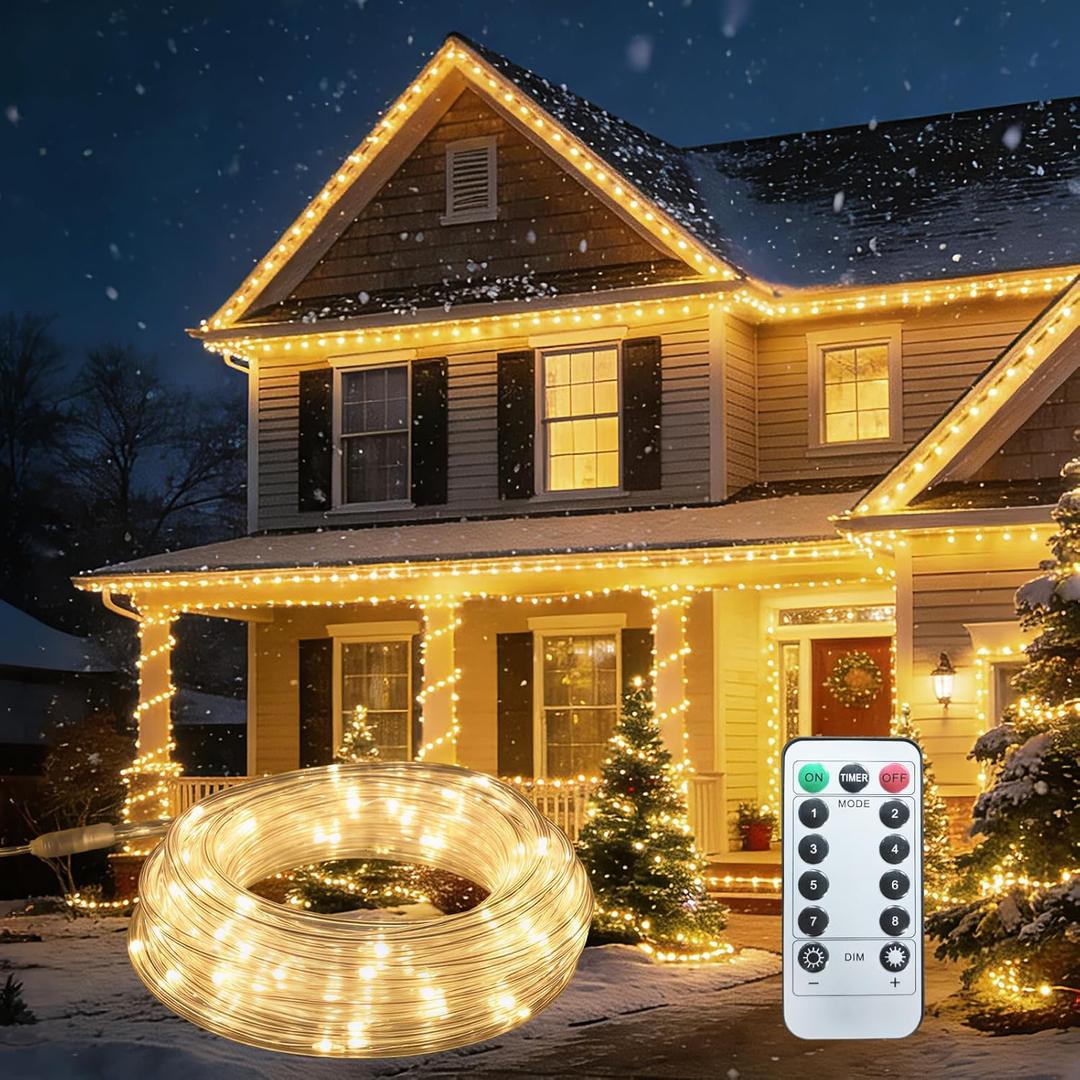 100ft LED Rope Light with Remote 8 Modes Strip Lights with Timer & Memory 5.5mm Large Diameter Twinkle Lights for Wedding Garden Christmas Halloween Bedroom Patio Decorations (30M, Warm White)