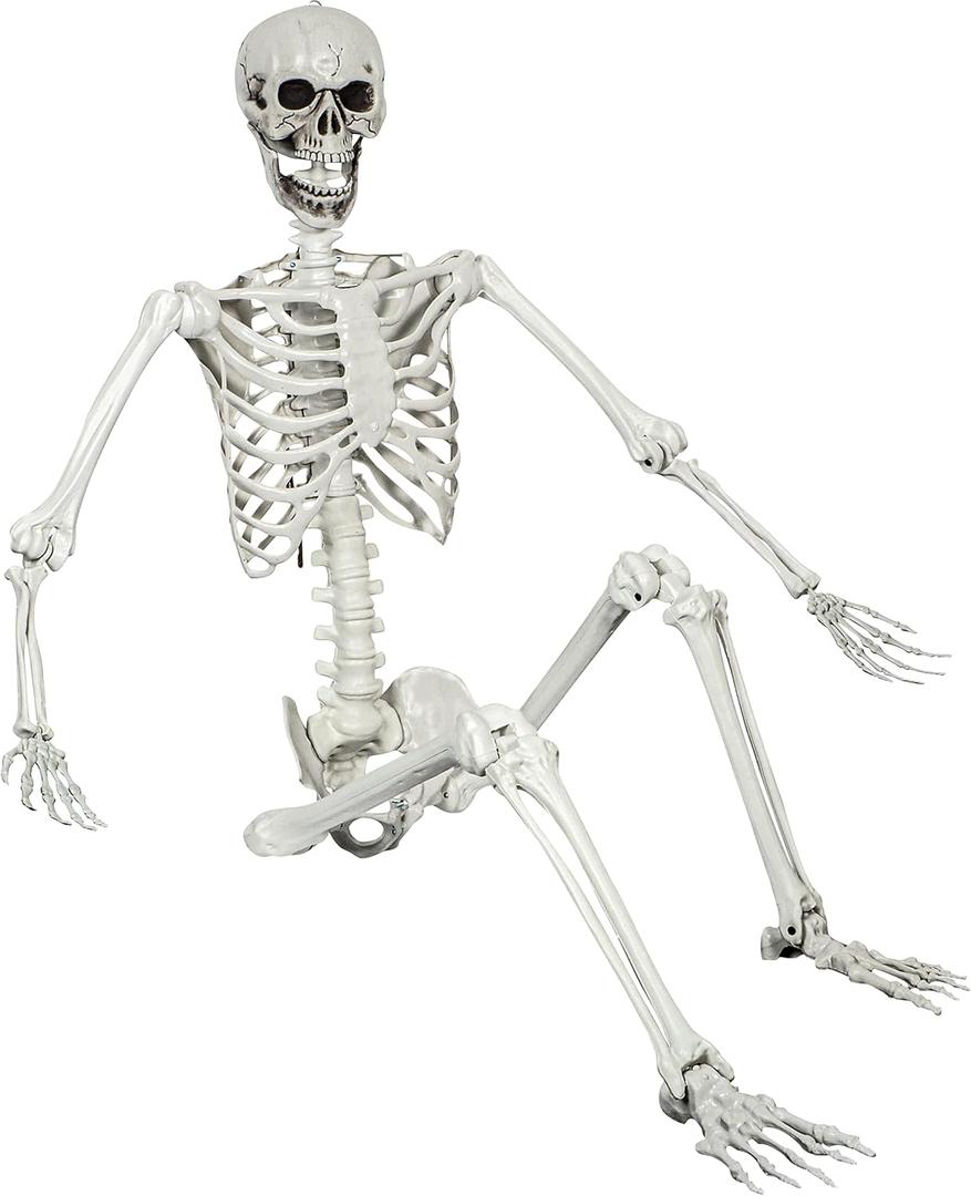 5.4ft Halloween Posable Skeleton Realistic Life Size Human Skeleton Bones with Movable Joints for Halloween Haunted House Indoor Outdoor Dcor (1Piece)