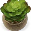 allgala Small Desktop Artificial Succulent Plant Indoor and Outdoor Indoor Fake Plants with Natural Clay Pot