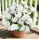 6 Bundles White Artificial Geranium Flowers for Outdoors Spring Decor Geraniums Silk Flowers UV Resistant Lifelike Faux Flowers for Spring Indoor Outdoor Garden Patio Porch Balcony Home Decoration