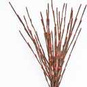 Holiday Bright Lights Garden Light Burst 36-Inch, Twinkling LED Decoration with Brown Tape and Red Bulbs, Indoor/Outdoor Accent Lighting