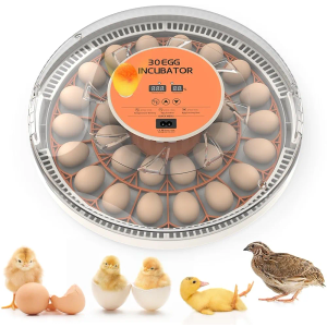 30 Egg Incubator with Automatic Egg Turning, Temperature Control and Humidity Monitor Incubators for Hatching Eggs, Chicken, Ducks, Goose, Pigeon, Quail, Parrot Incubator for Farm, Lab