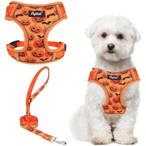 PUPTECK Small Dog Harness and Leash Set, No Pull Adjustable Puppy Cat Harness, Reflective Soft Mesh Pet Vest Small Sized