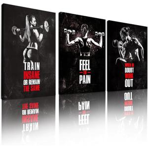 Sbemyenus Motivational Gym Wall Art, Inspirational Workout Room Wall Decor Set of 3, Woman Bodybuilding Lifter Positive Canvas Art Print for Gym Exercise Classroom Decor, 12x16inch Unframed