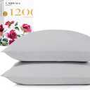 Carressa Linen 1200 TC Light Grey Queen Pillowcase Set of 2, Extra Long Staple 100% Egyptian Cotton Pillow Cover for Sleeping, Soft & Silky Premium Sateen Weave Pillowcase for Bed Pillows