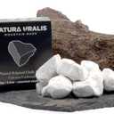 Natura Uralis Premium Belgorod Chalk Chunks | White Chalk Chunks - Amazing Crunch, Satisfying Earthy, Velvety and Firm Texture, ASMR Sensation, Natural Calcium Carbonate (Mini (3.5oz))