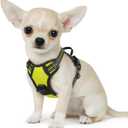 Eagloo Small Dog Harness No Pull, Service Vest with Reflective Strips and Control Handle, Adjustable and Comfortable for Easy Walking, No Choke Pet Harness with 2 Metal Rings, Green, XS