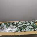 8FT Artificial Eucalyptus Tree Indoor, Tall Faux Eucalyptus Plant with Pre-Potted Realistic Silk Leaves and Trunk, Fake Eucalyptus Tree for Office Living Room Bedroom Foyer Porch Home Corner Decor (Black)