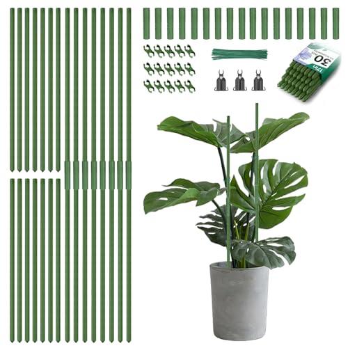 Breeze Touch Garden Trellis for Climbing Plants Outdoor, 30 Pack 17" Tomato Stakes Set with Clips & Connectors,Garden Plant Stakes, Tomato Frame, Cucumber Trellis for Raised Bed & Potted Plants