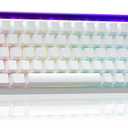 AULA Hero 68 HE 60% Gaming Keyboard Wired, Hall Effect Magnetic Switch Keyboard with Adjustable Actuation, Fast Trigger Mode, 8K Hz Polling Rate, 0.125ms Latency,Side Printed PBT Keycaps, RGB Backlit (White)